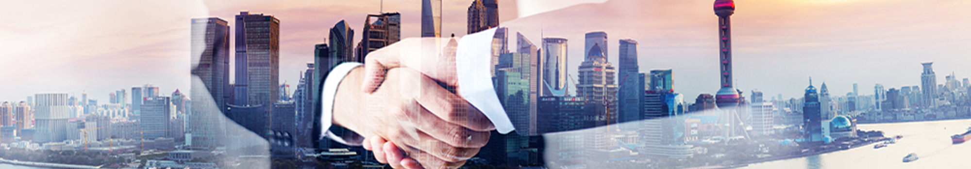 上海廟（miào）項（xiàng）目（mù）